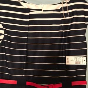 Dress Barn Dress Brand New with Tags